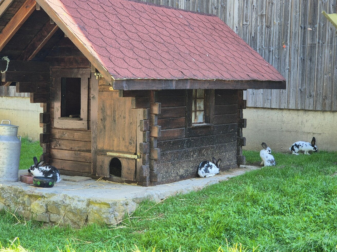 Ferme De La Fondation St-barthélemy-St-Barthelemy必去景点