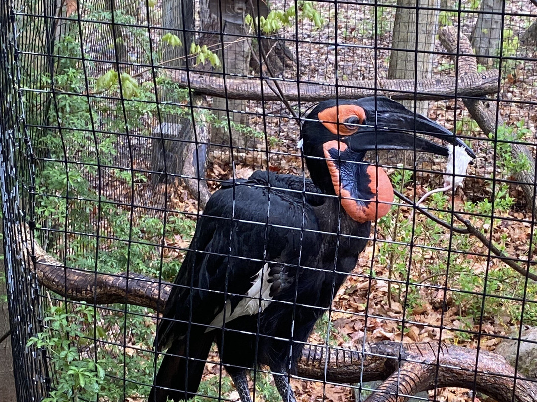 Binder Park Zoo-Battle Creek必去景点