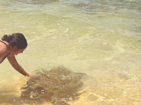 Avaa Travels-尼甘布必去景点