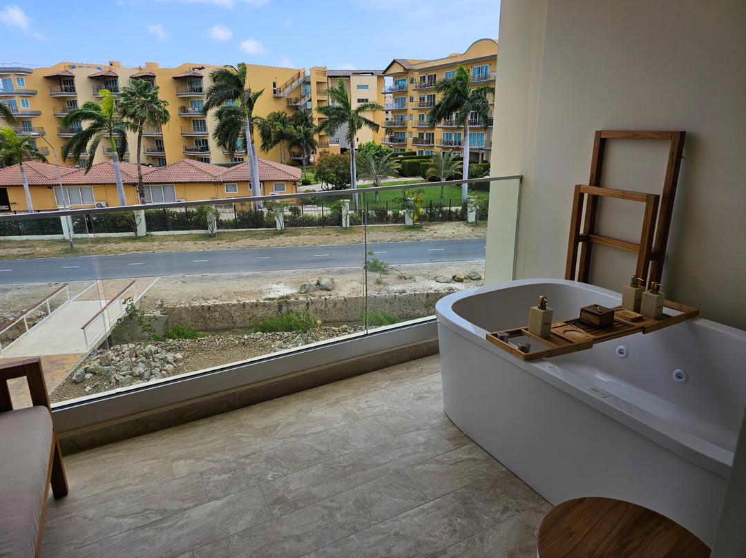 JOIA Aruba By Iberostar主图