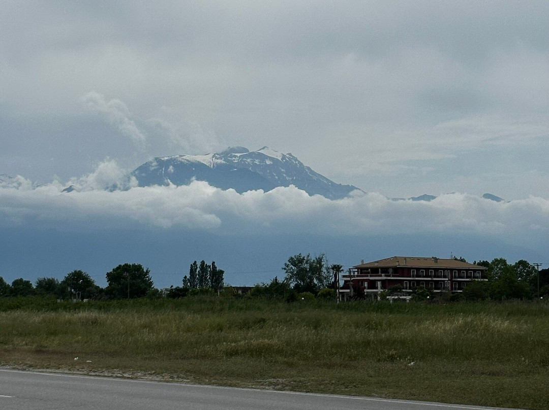 Mediterranean Princess主图