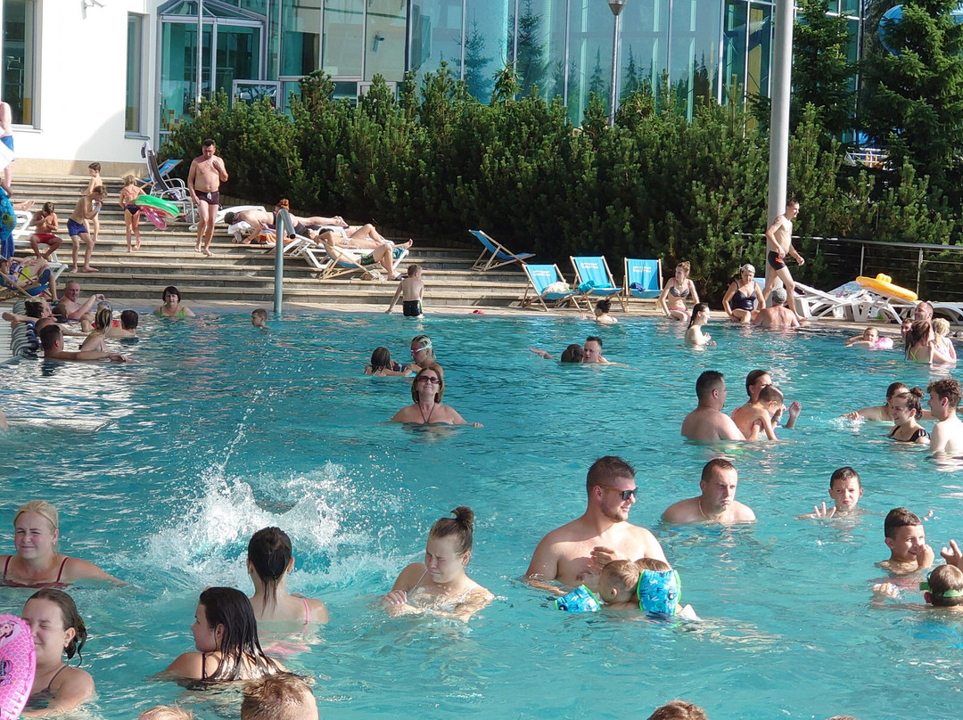 Hotel BUKOVINA主图