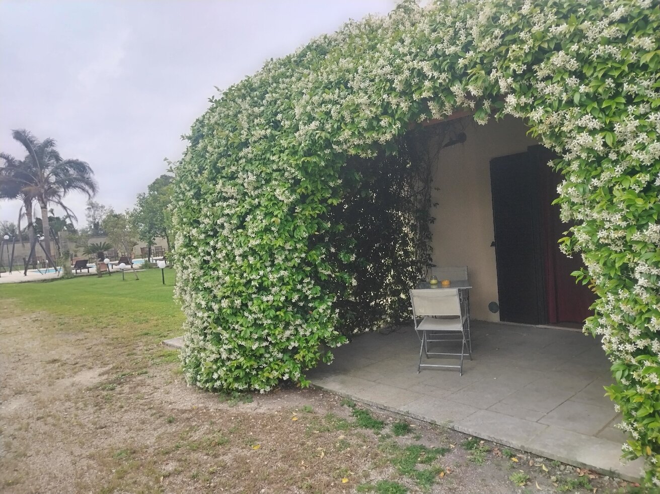 利坎皮餐厅度假酒店-官方