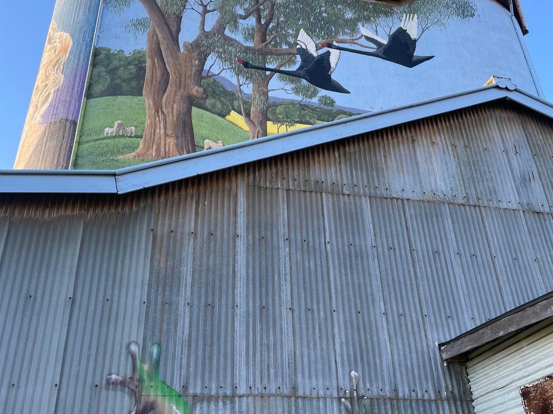 Silo Art Dunedoo-Dunedoo必去景点