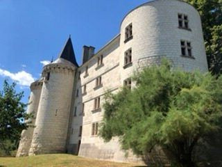 Château de la Guerche景点图片