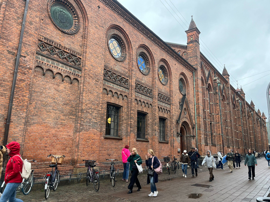 Vadrouille a Copenhague-哥本哈根必去景点