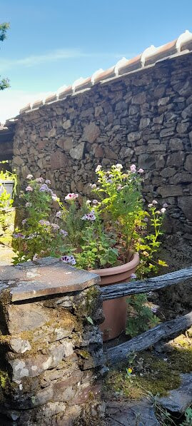 Aldeia do Casal Novo景点图片
