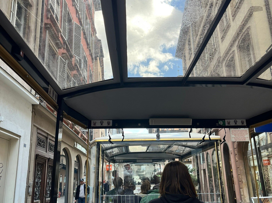 Petit Train Touristique de Strasbourg景点图片