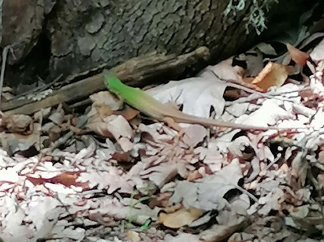 Varvara Waterfalls-Olympiada必去景点