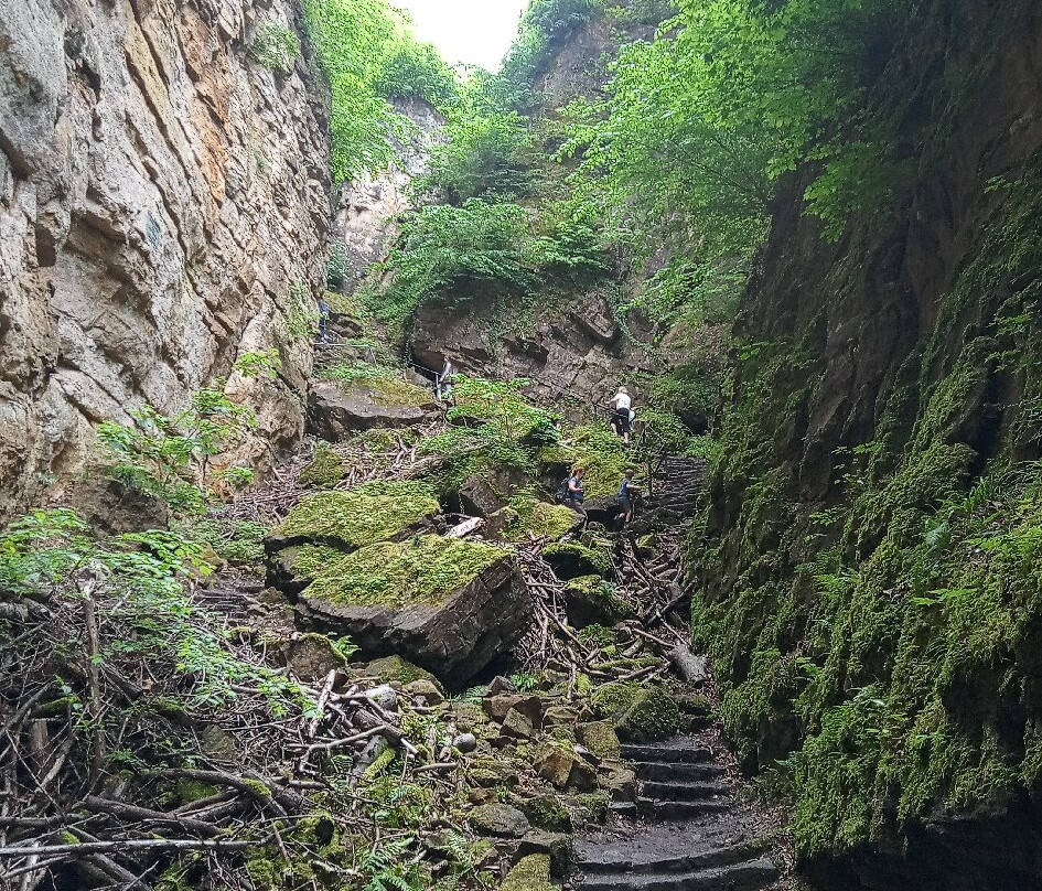 Gorges Du Loup-埃希特纳赫必去景点