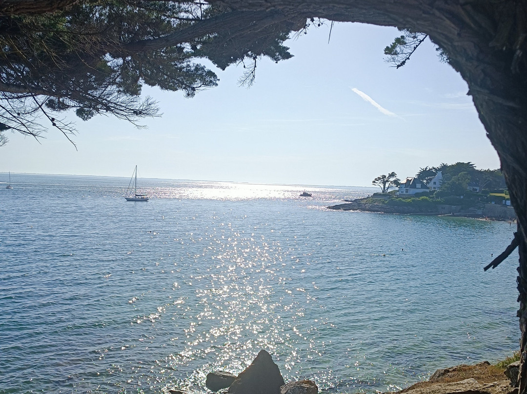 Golfe du Morbihan Vannes Tourisme - Bureau d'Arzon景点图片