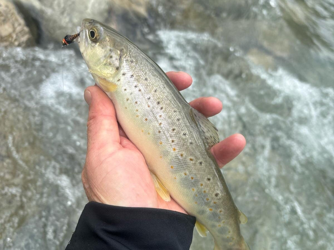 Riviera fly-fishing景点图片