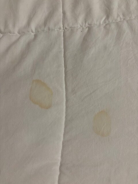 Golden Mare Resort主图