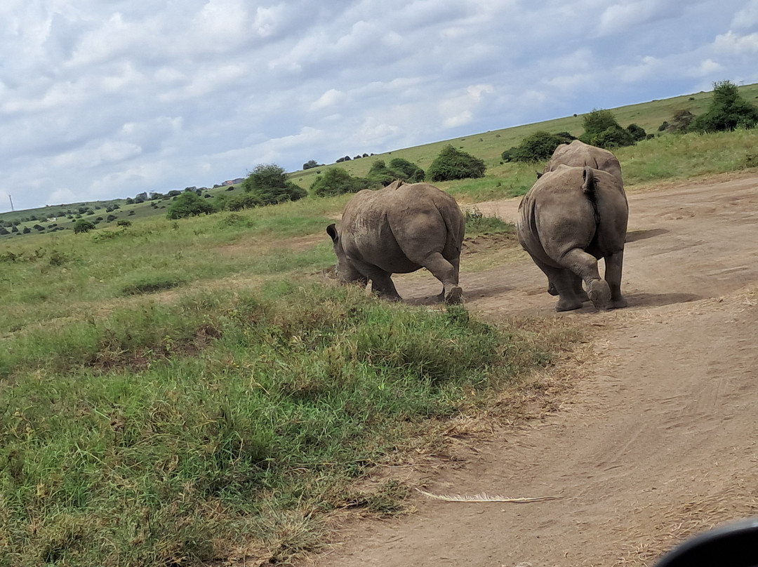 Taswa Challenge-内罗毕必去景点