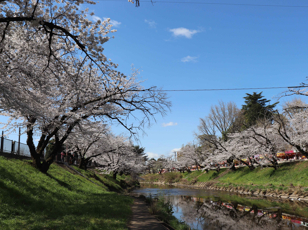 Shinsakai River Tsutsumi-各务原市必去景点