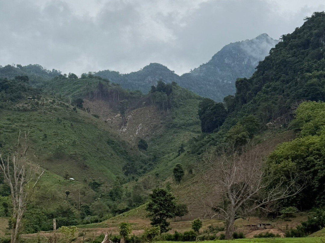 Luang Prabang Homestay主图