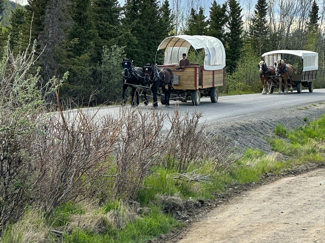 Denali Black Diamond Covered Wagon景点图片