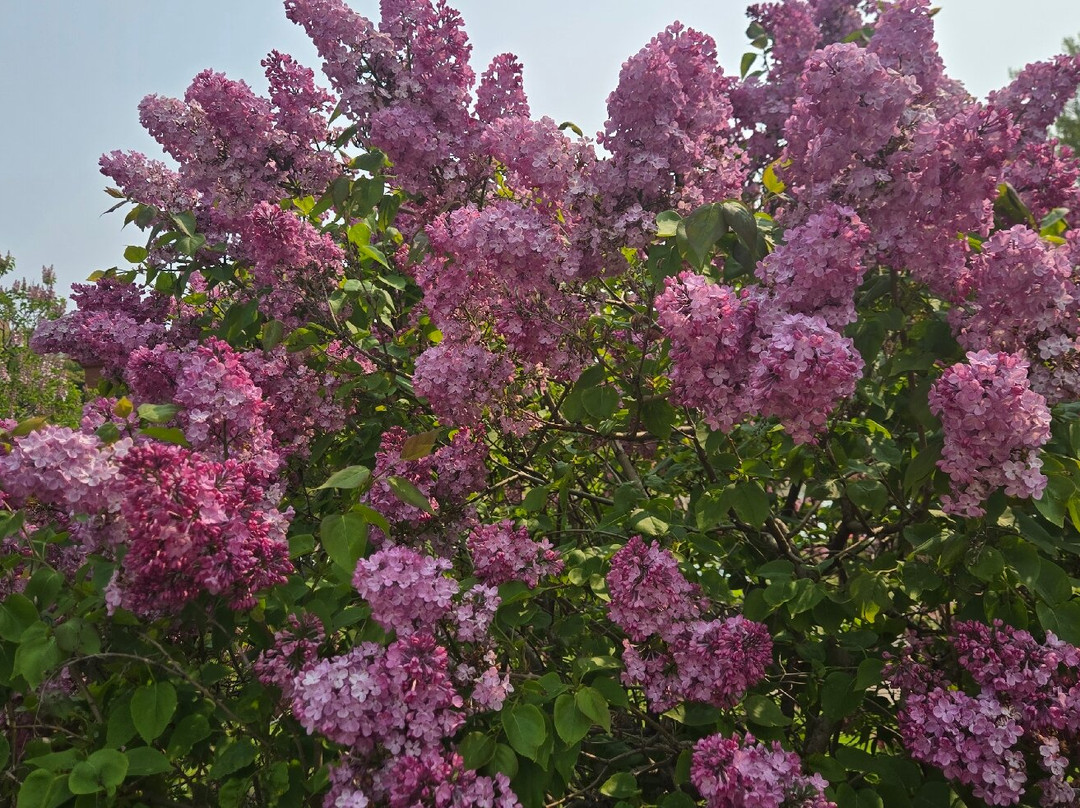 Downtown Marquette-Marquette必去景点