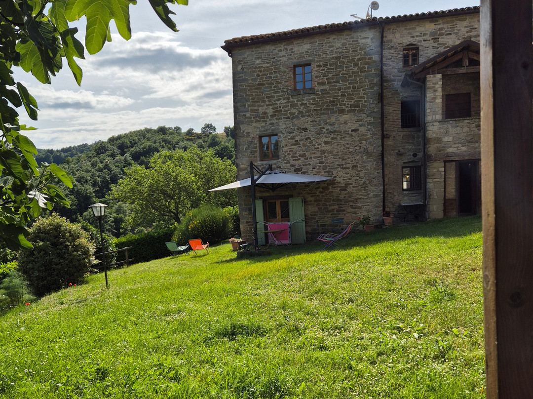 Bio Agriturismo Chignoni主图