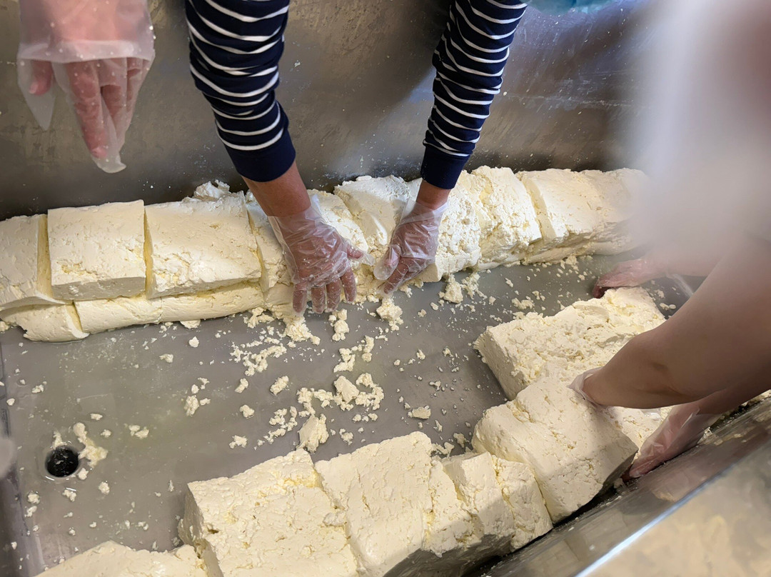 Lacey's Cheese景点图片