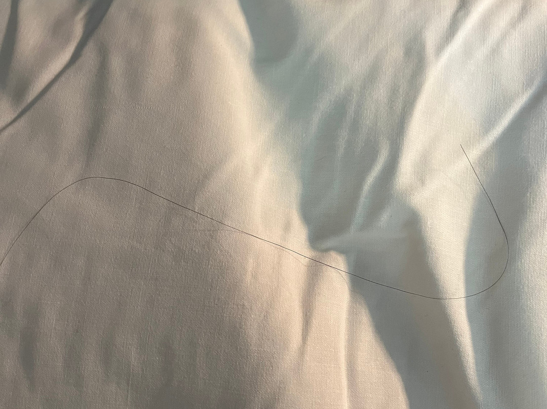 Cessnock Motel主图