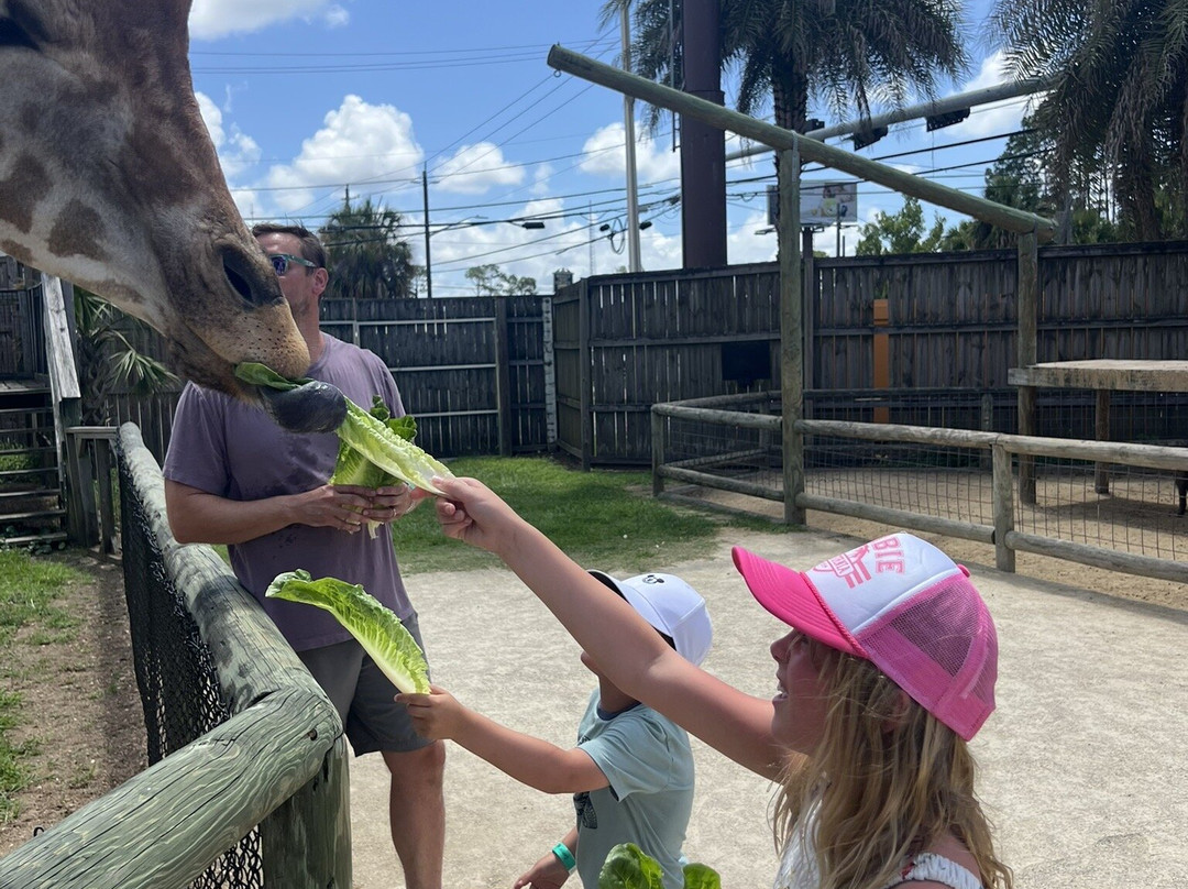 Zoo World Zoological Park-巴拿马城海滩必去景点
