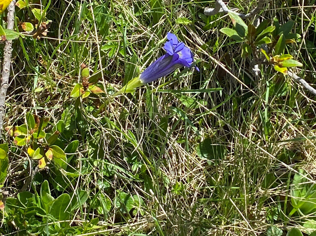 Passo Stalle-Rasun Anterselva必去景点