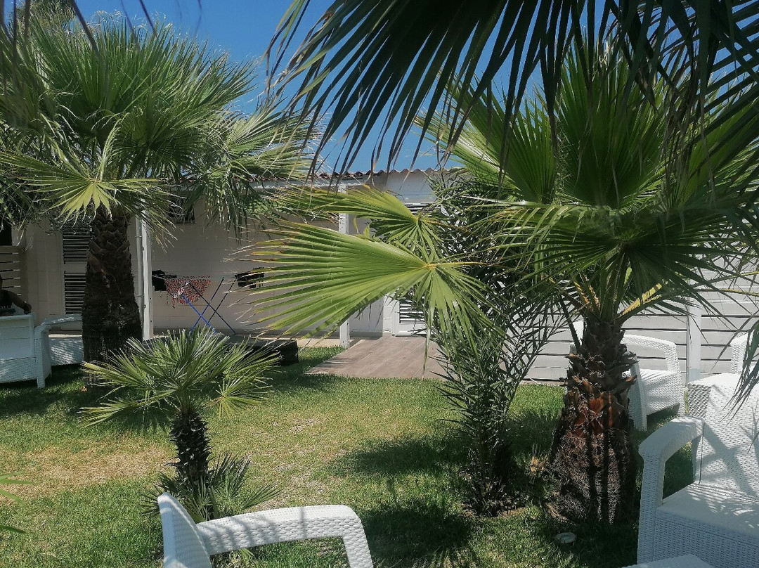 Torquemada B&B主图