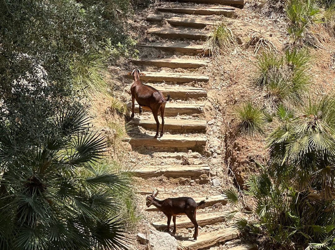 La Reserva Puig de Galatzó-Puigpunyent必去景点