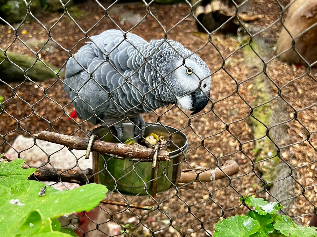 Alameda Wildlife Conservation Park-直布罗陀必去景点