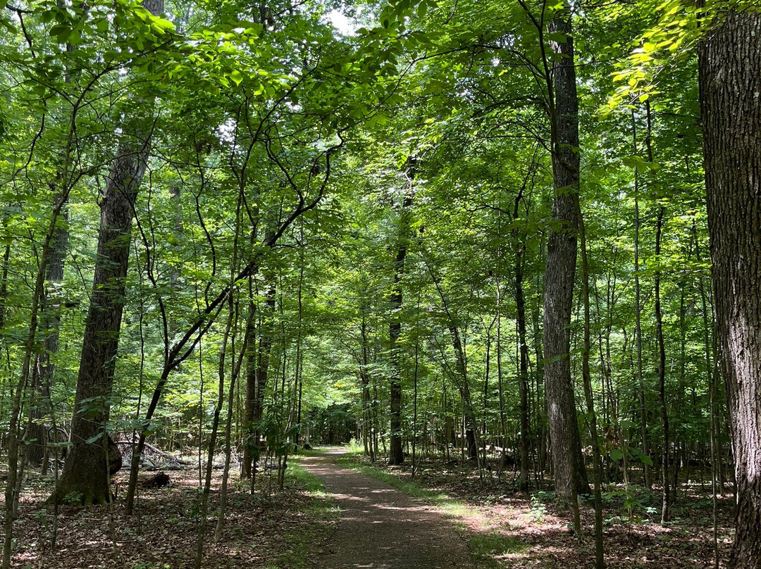 Guilford Courthouse National Military Park-戈尔兹伯勒必去景点