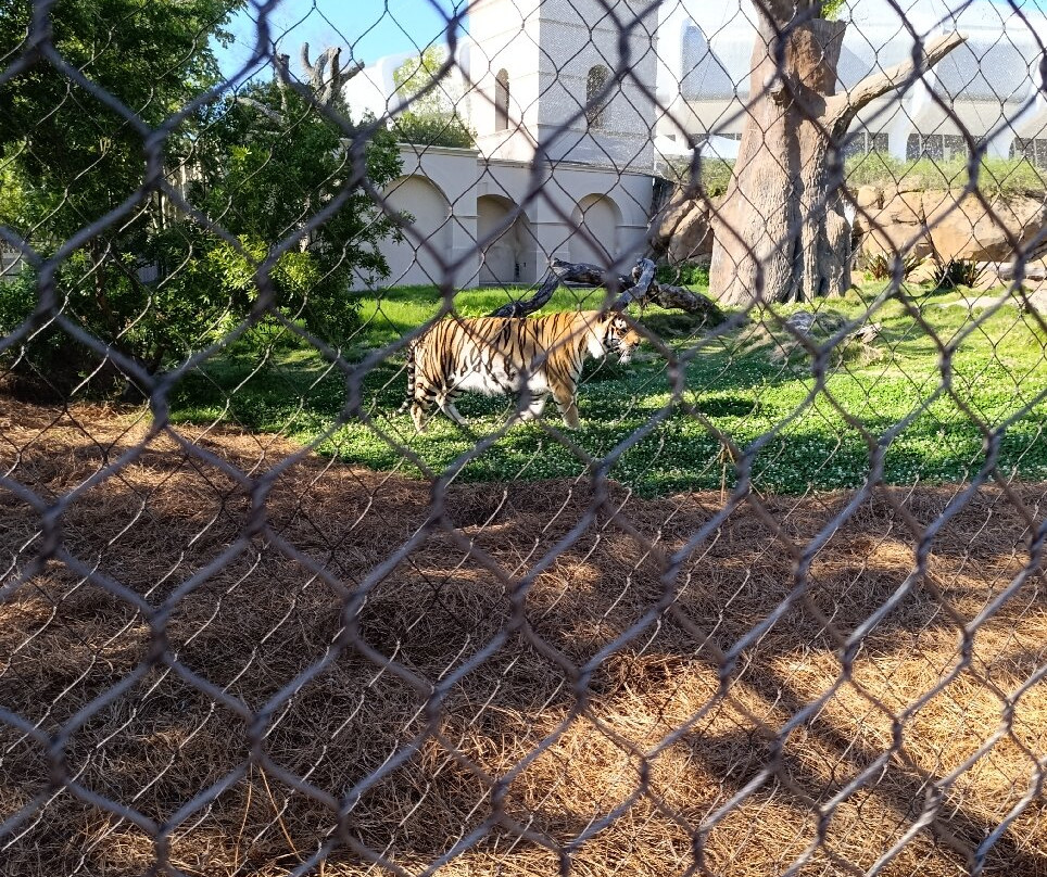 LSU Tiger Stadium-巴吞鲁日必去景点