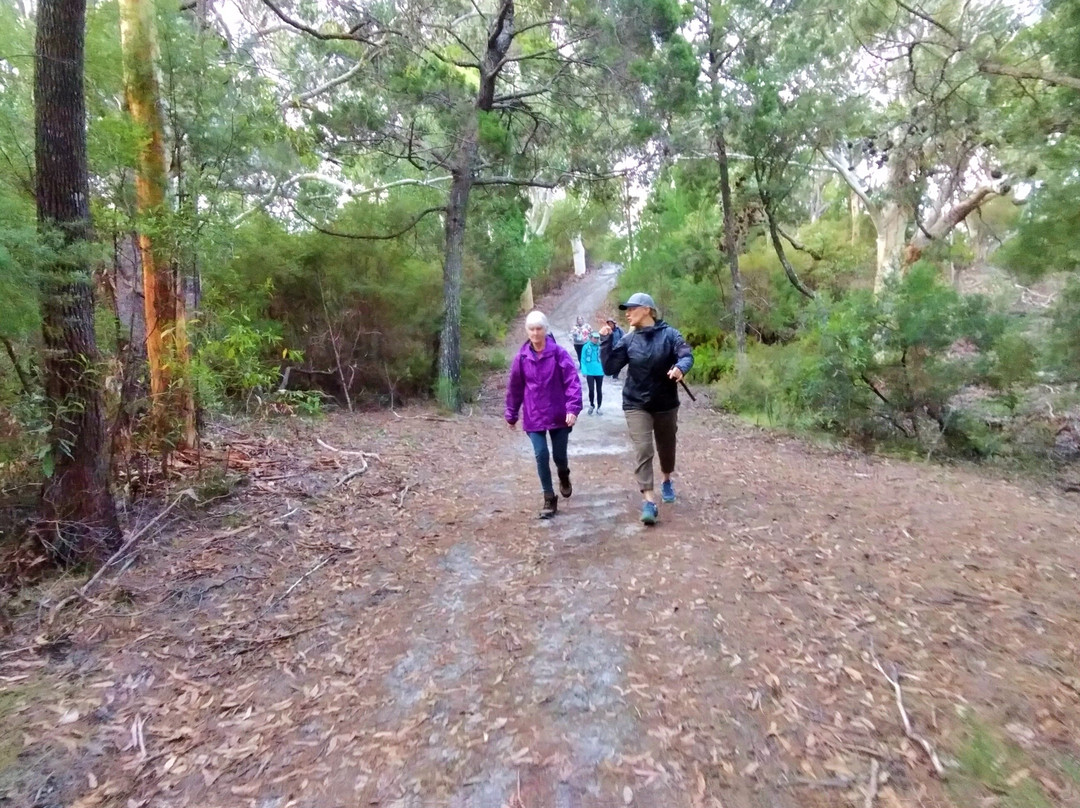 GirlsTrek-布里斯班必去景点