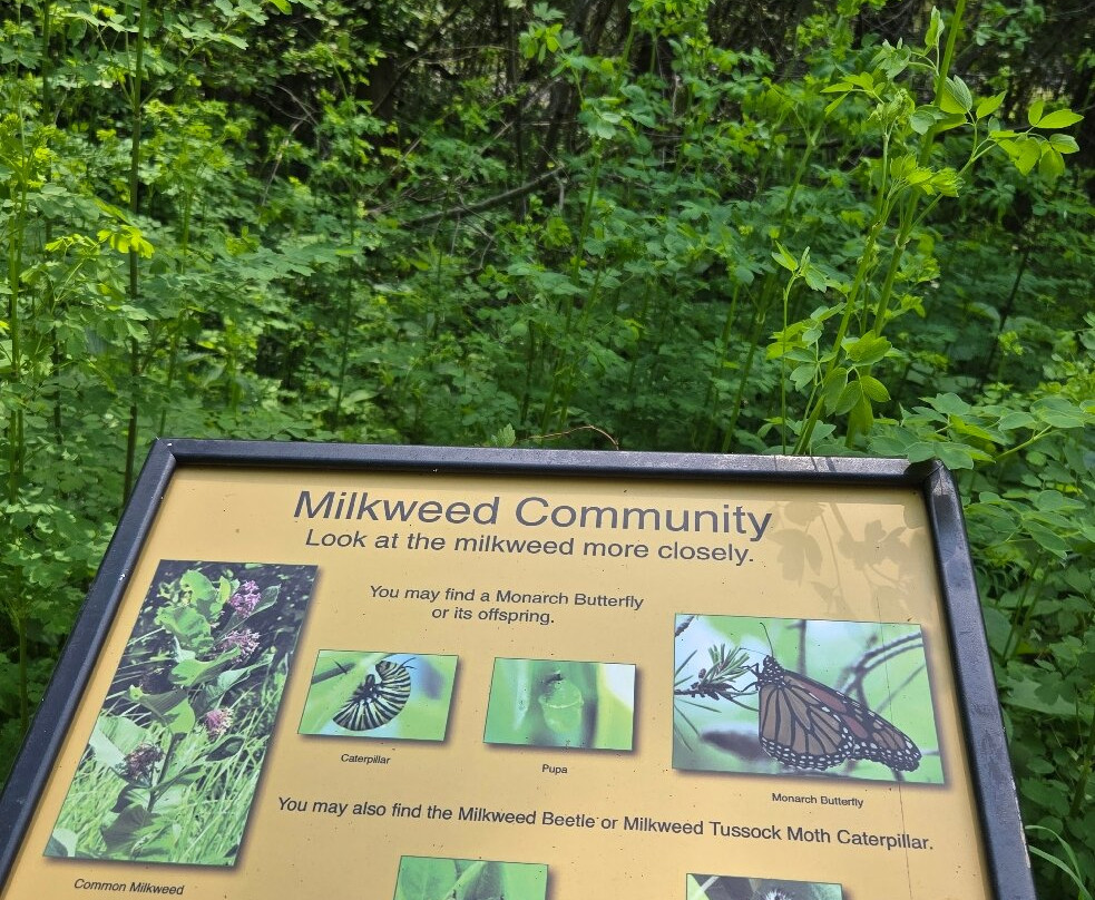 Copper Culture State Park-Oconto必去景点