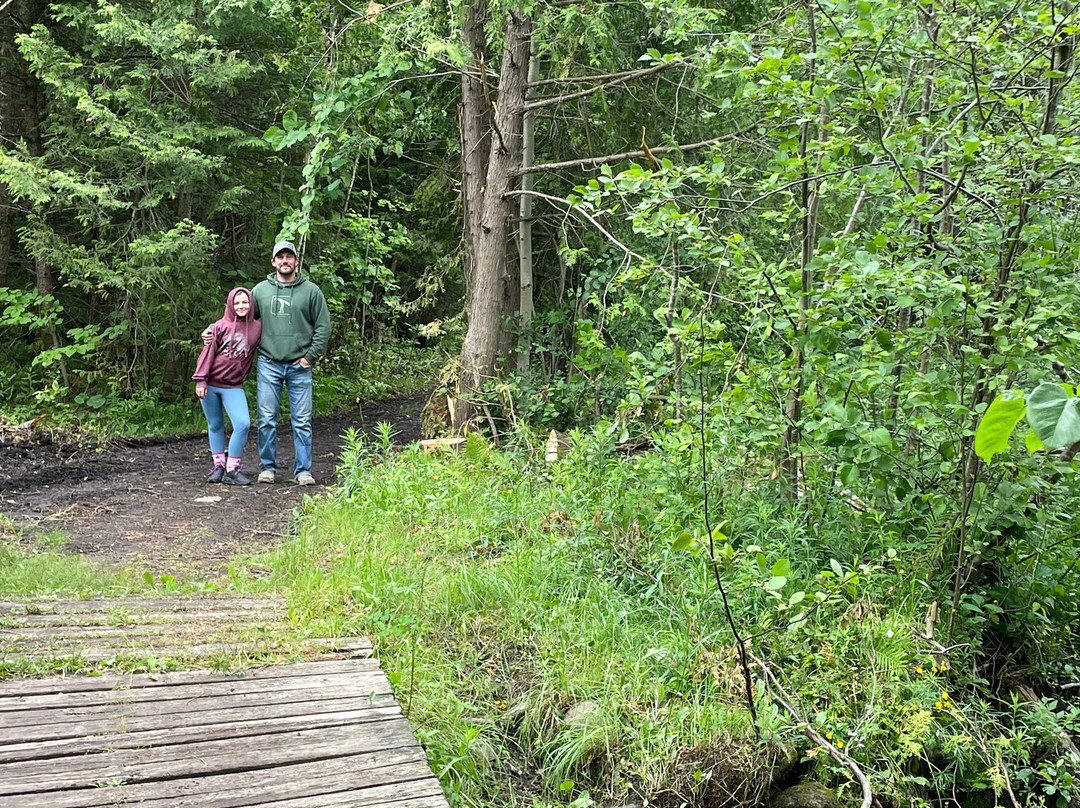 Emily Tract-Omemee必去景点