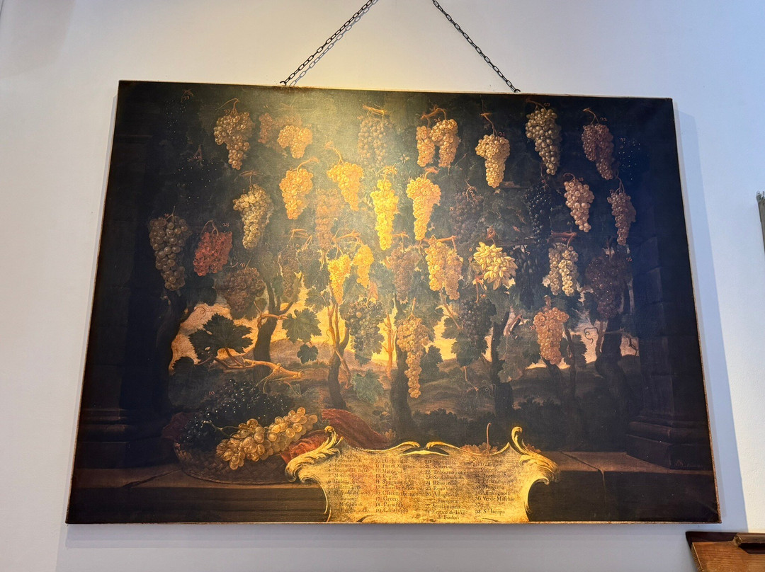 Fattoria San Michele A Torri Societa’ Agricola-null必去景点