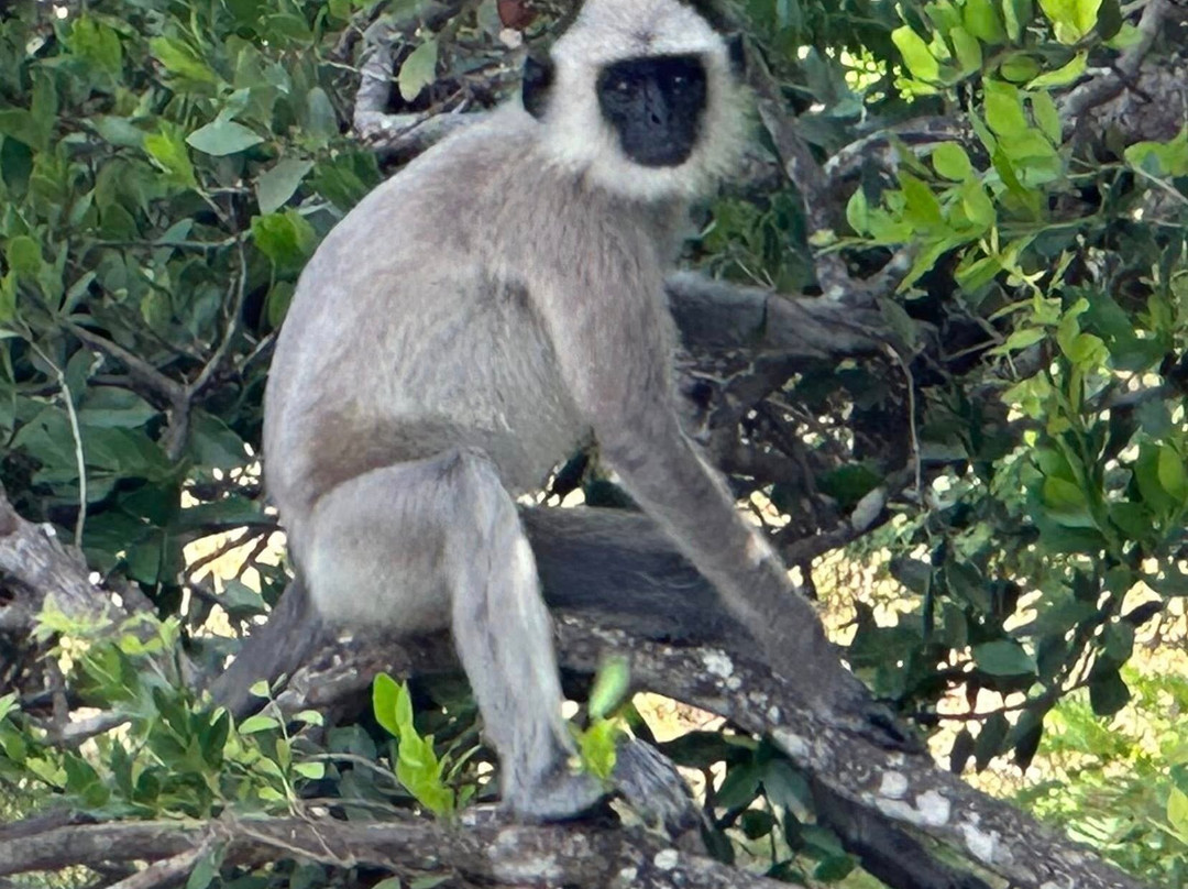 Ceylon Culture And Nature-Dehiwala必去景点