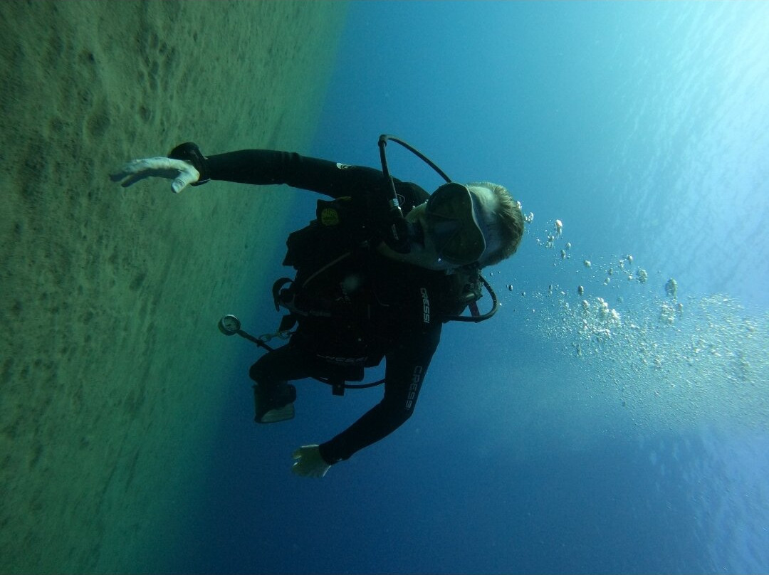 Liquid Planet Dive Centre-卡拉罗港口必去景点