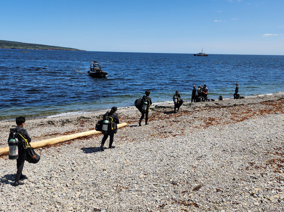 Club Nautique de Percé-Perce必去景点