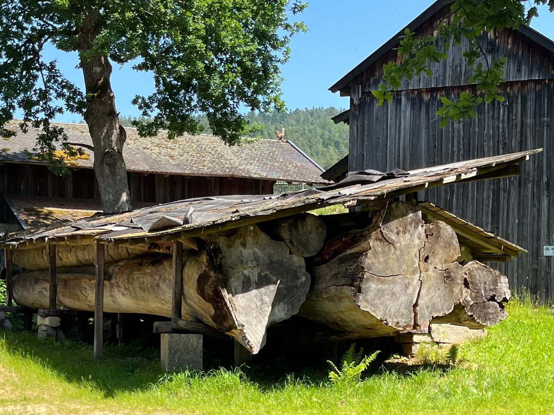 Museumsdorf Bayerischer Wald-Tittling必去景点