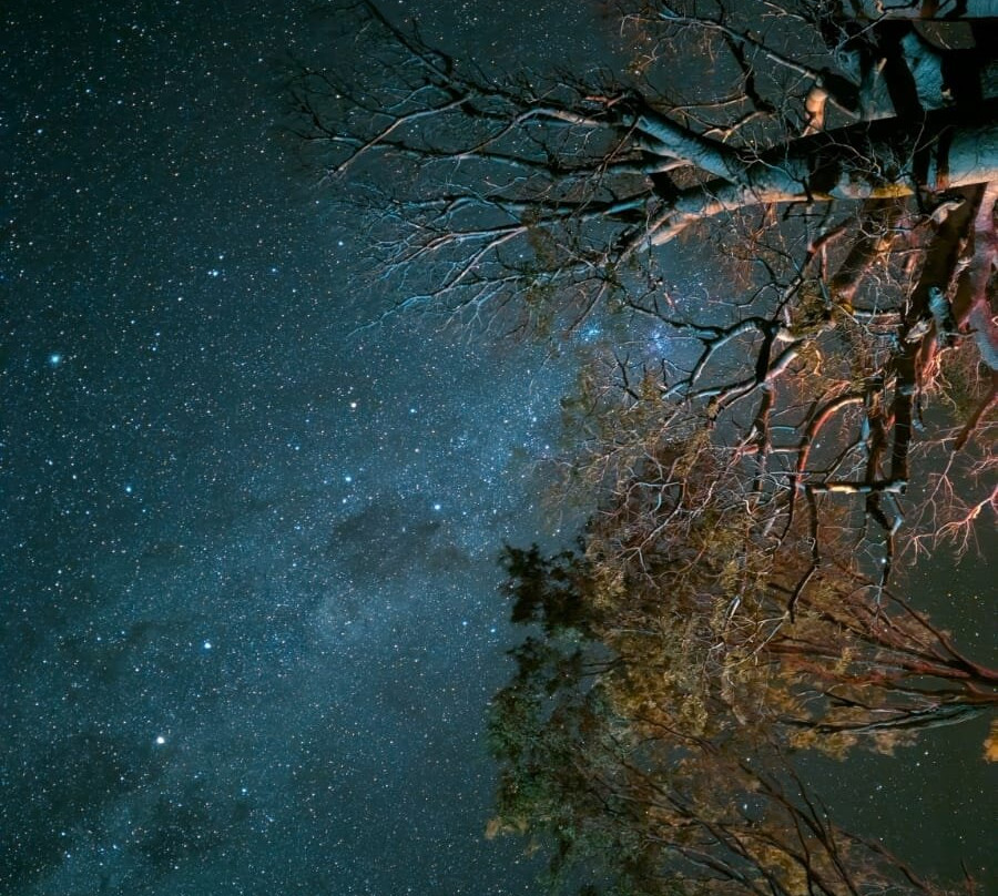 Kimberley Safari Tours景点图片