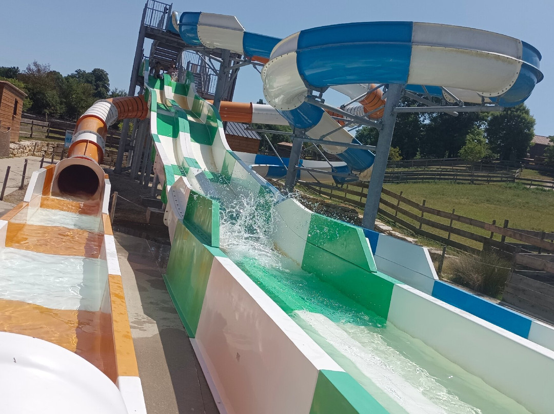 Parc Du Griffon-Caubon-Saint-Sauveur必去景点