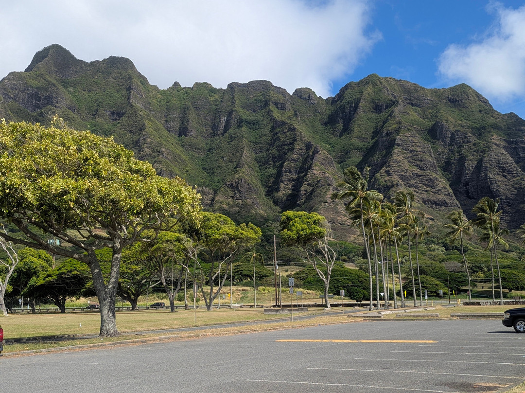 Aina Tours llc-火奴鲁鲁必去景点