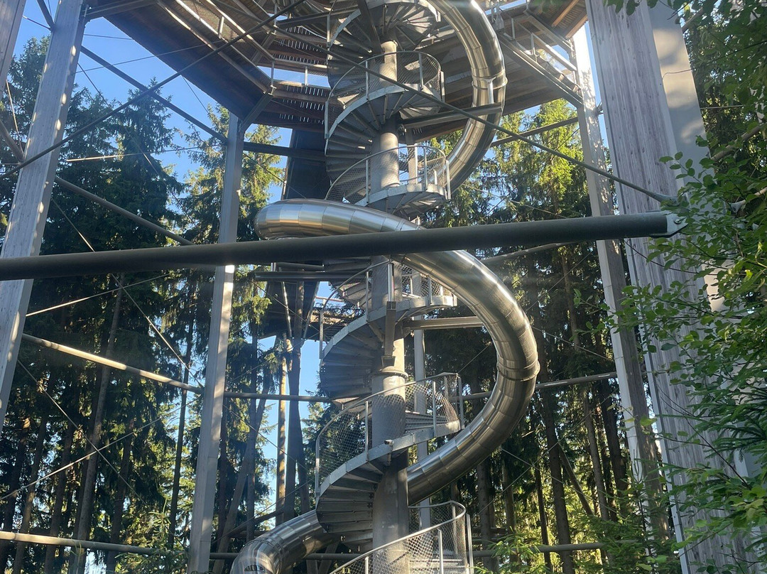 Treetop Walkway-利诺纳佛塔沃必去景点