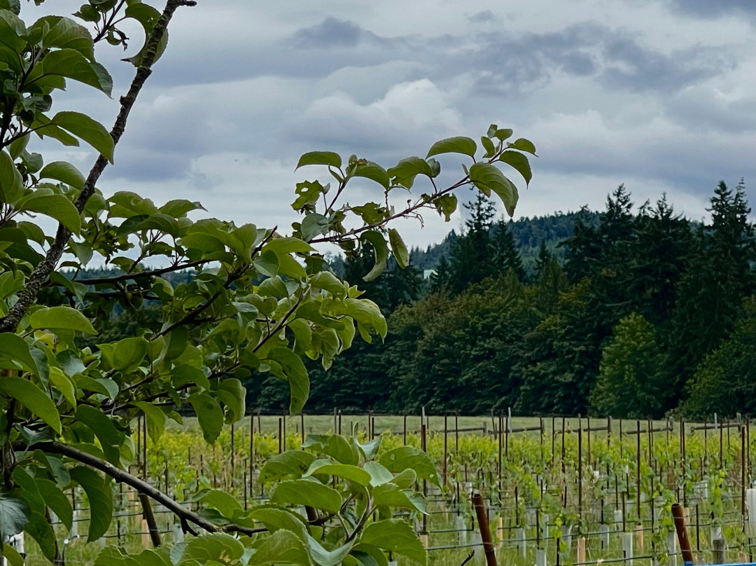 Unsworth Vineyards Tasting Room-Mill Bay必去景点