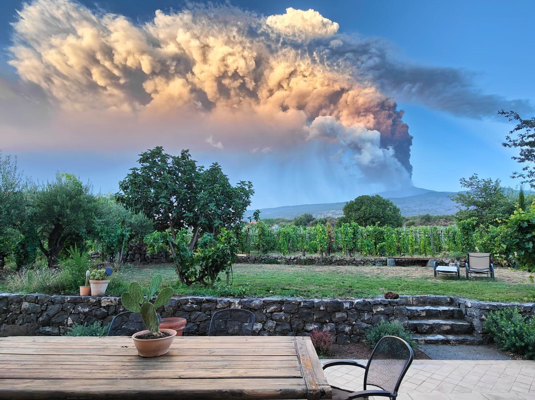 Casale 120 Winery-Rovittello必去景点