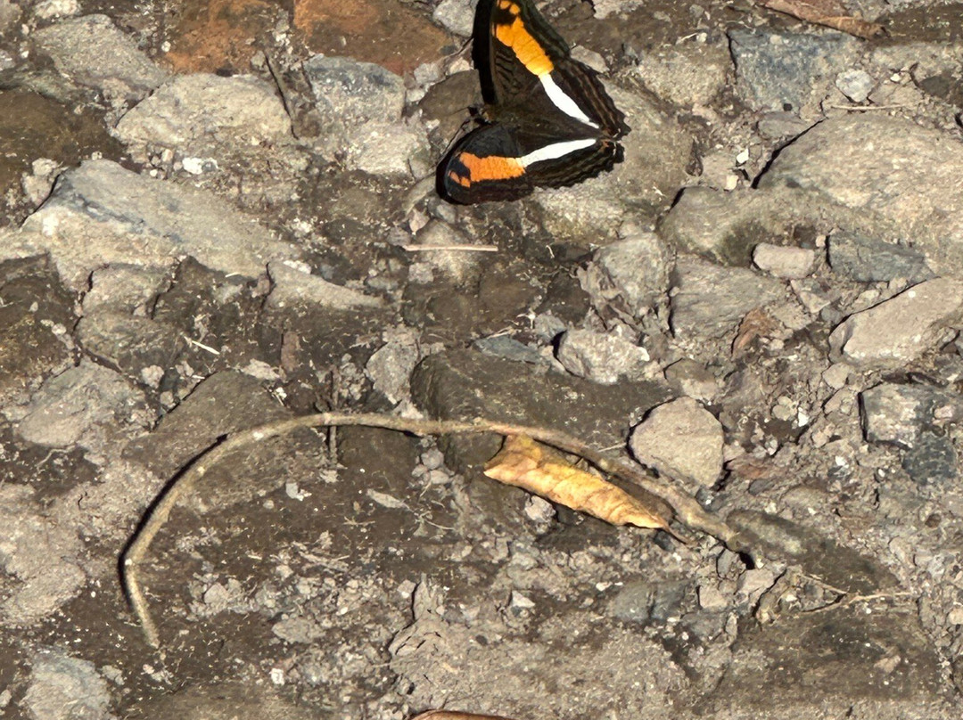 Catarata de Gocta-Valera必去景点