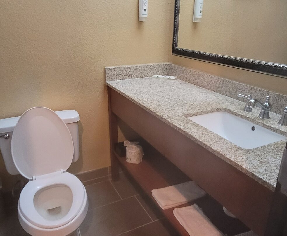 Quality Inn & Suites主图