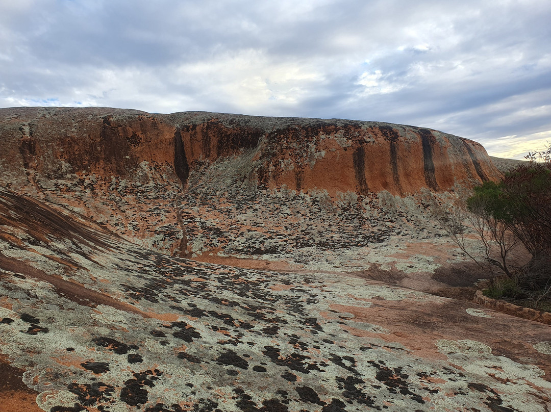 Pildappa Rock-Minnipa必去景点