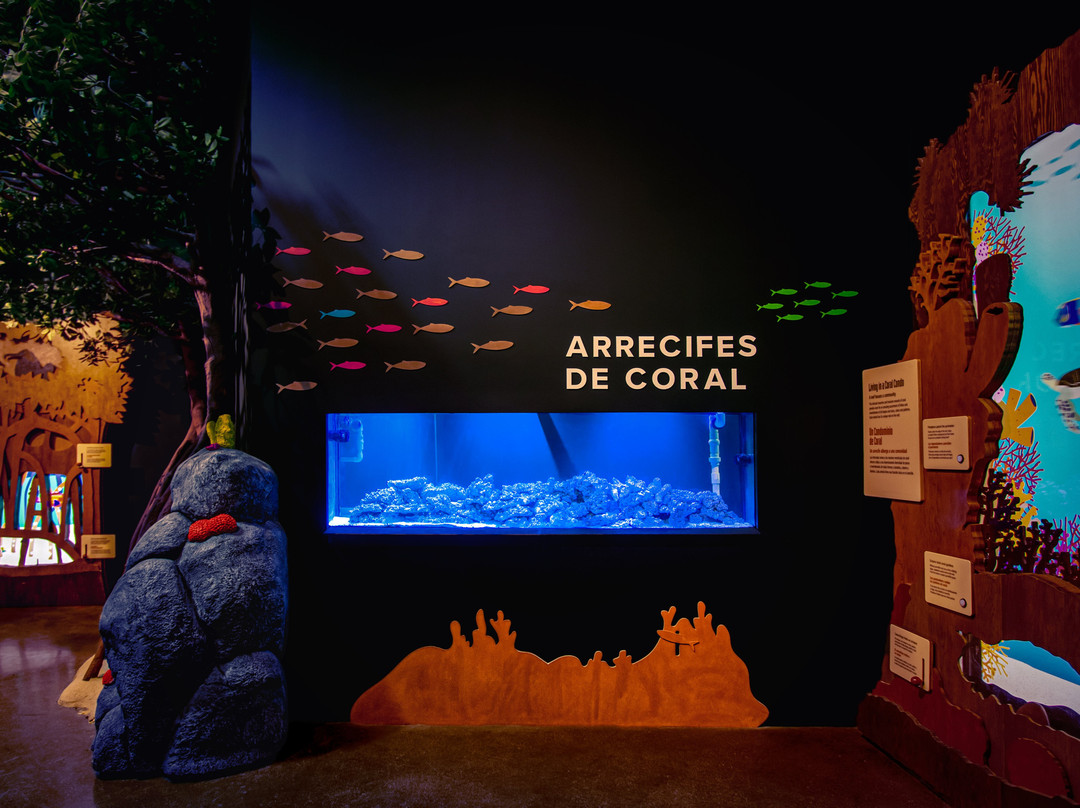 Caracol-恩塞纳达必去景点